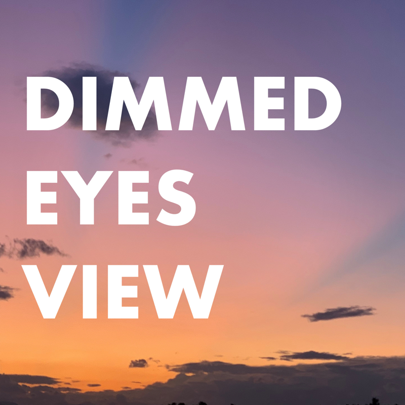 DIMMEDEYESVIEW