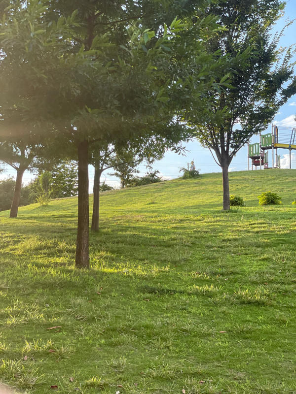 恋のツキ読んだよ〜