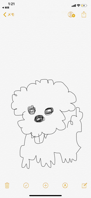 トイプードルって知ってる？