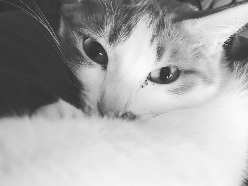 えをかきながら12分喋り縛りtonight…