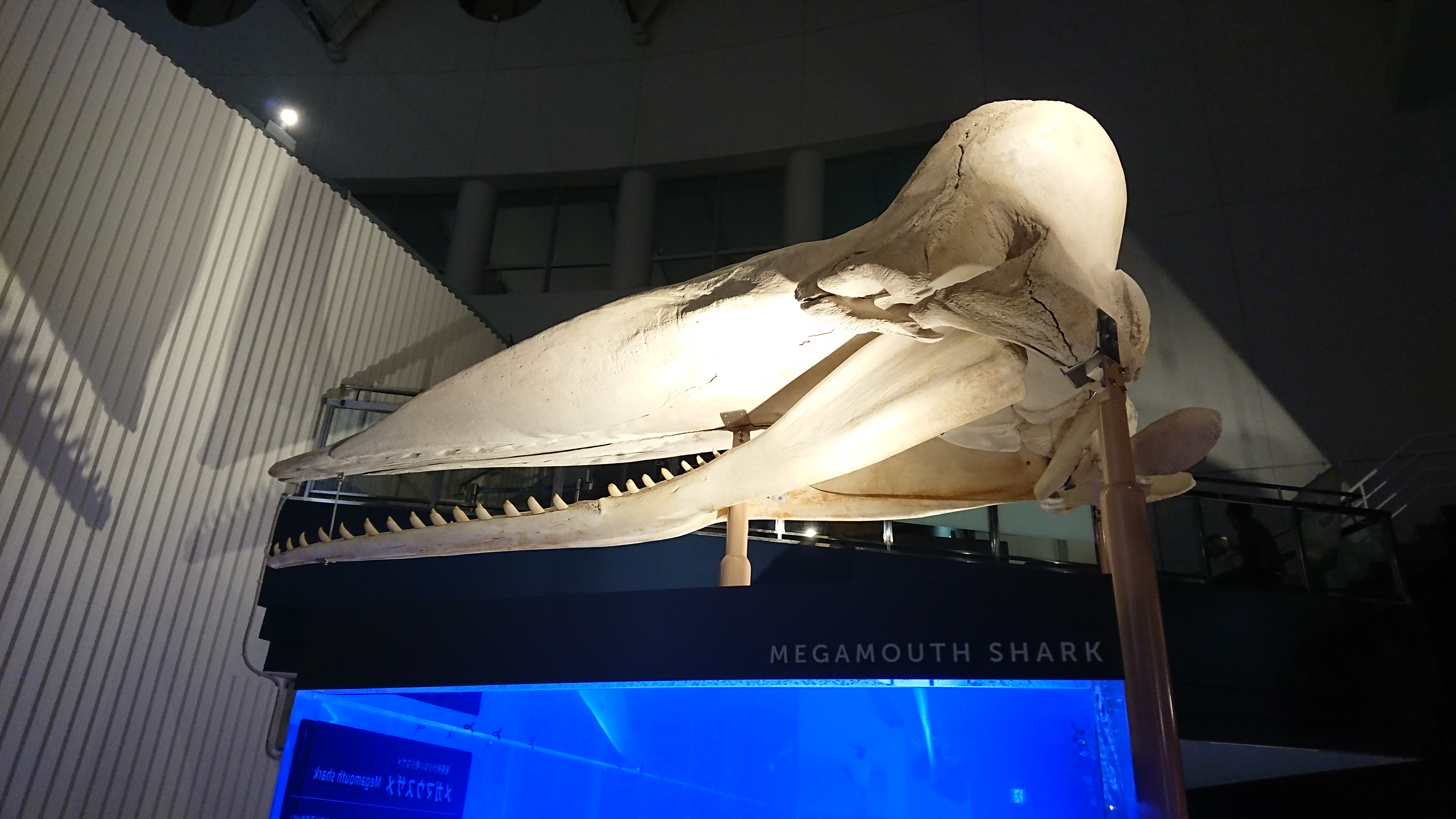 Quest.2『死ぬかと思った話』