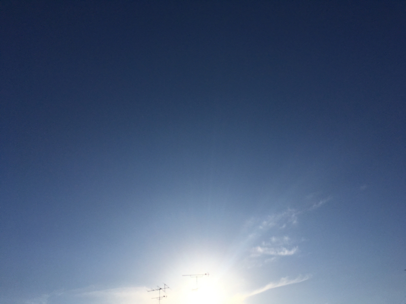 バイオレットフレームのワーク