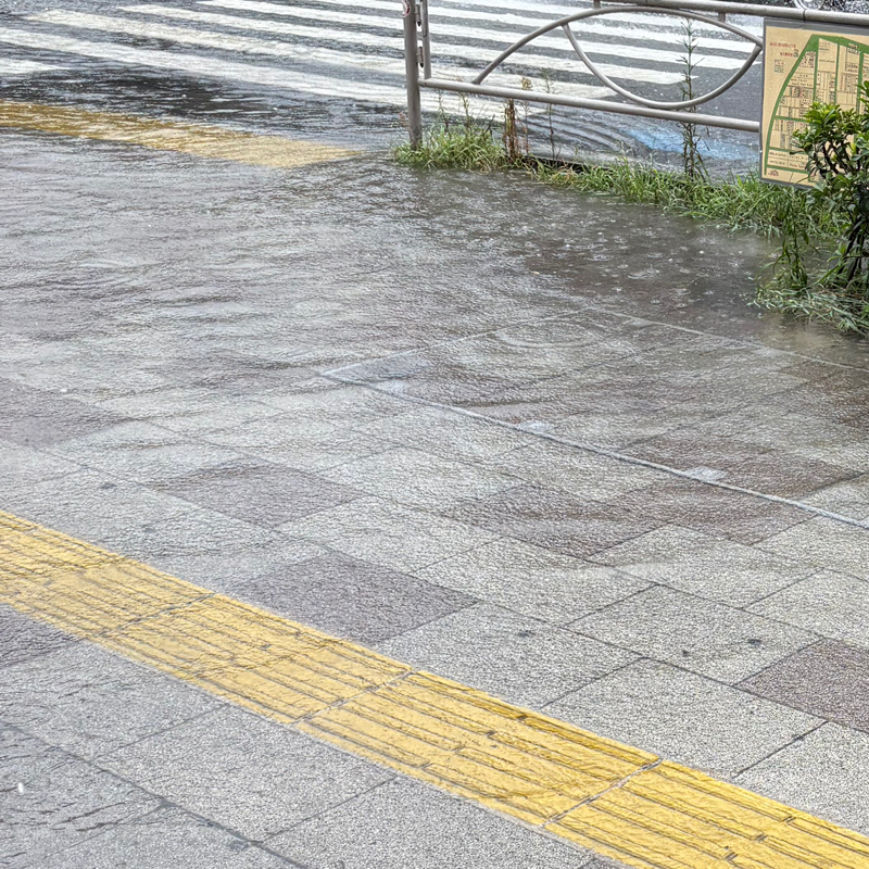 #493 アドバイス