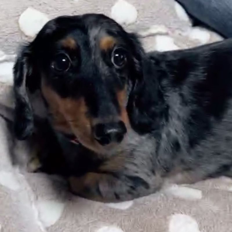 #526  割ったやつ