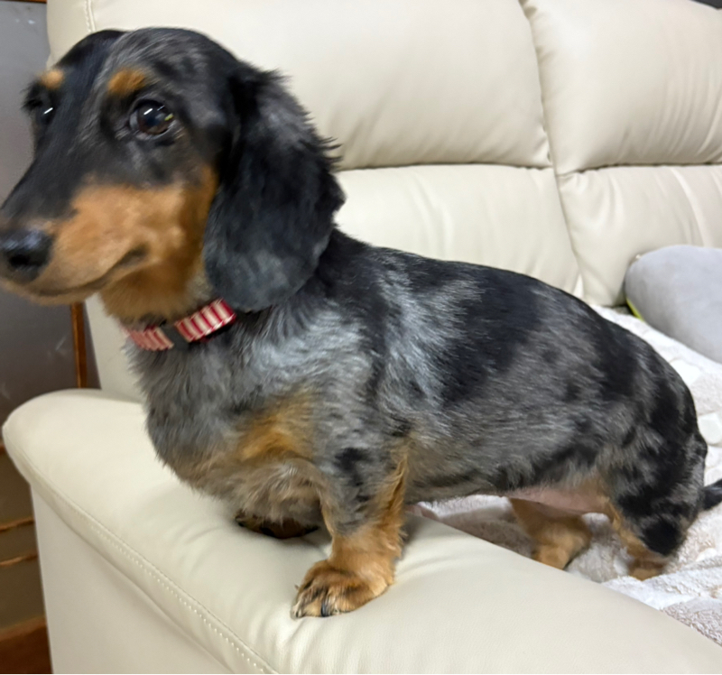 #571 色々なラスト！！