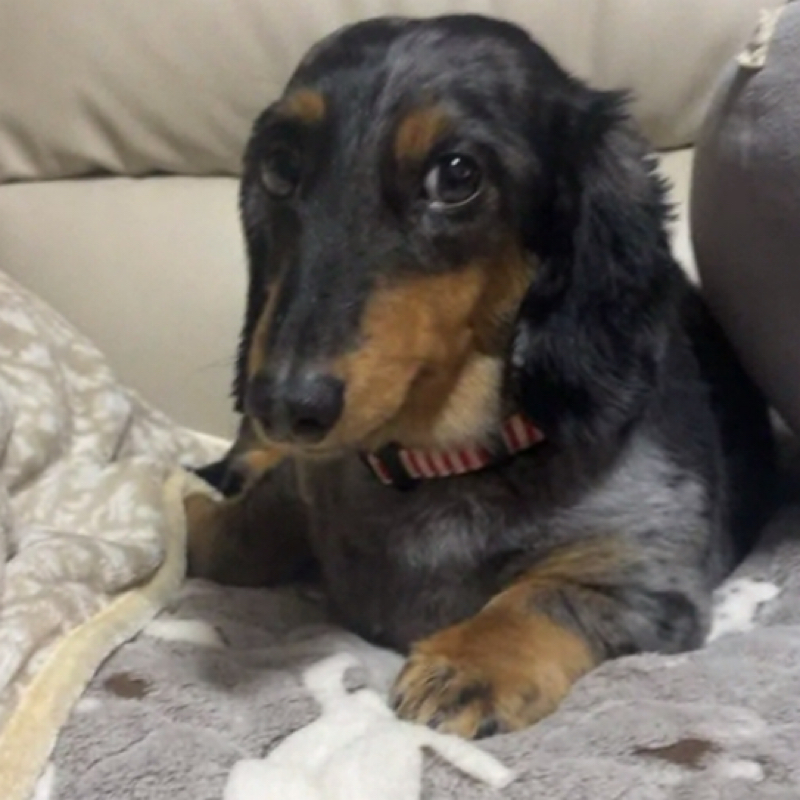 #651 本当の健康ラジオ