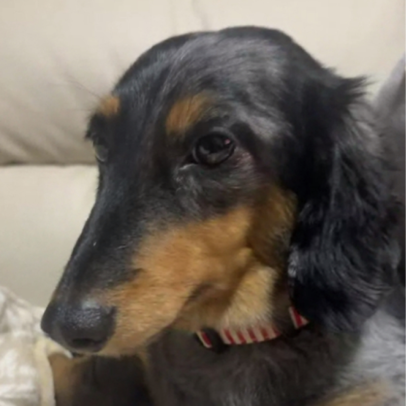 #653 ホームラン