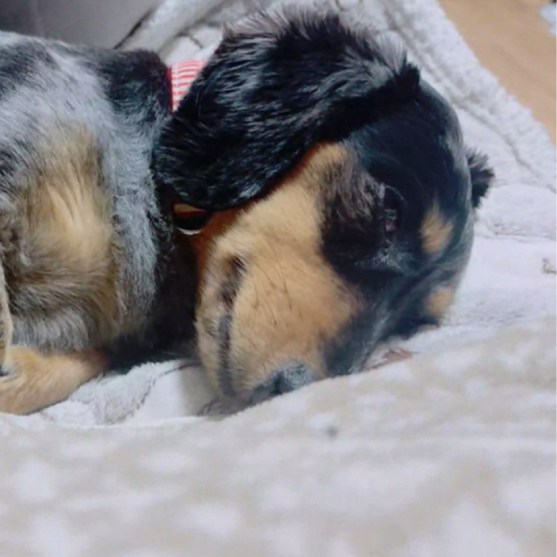 #658 早朝ウィーク