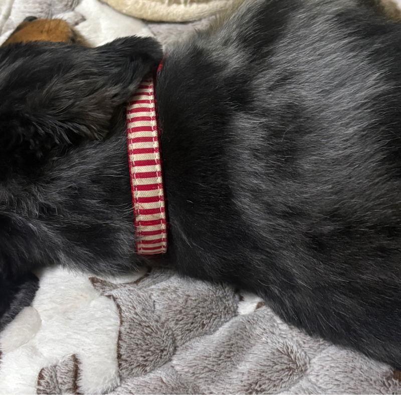 #662 叩き上げない