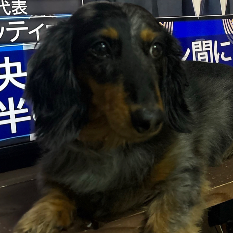 #768 ２つの悩み