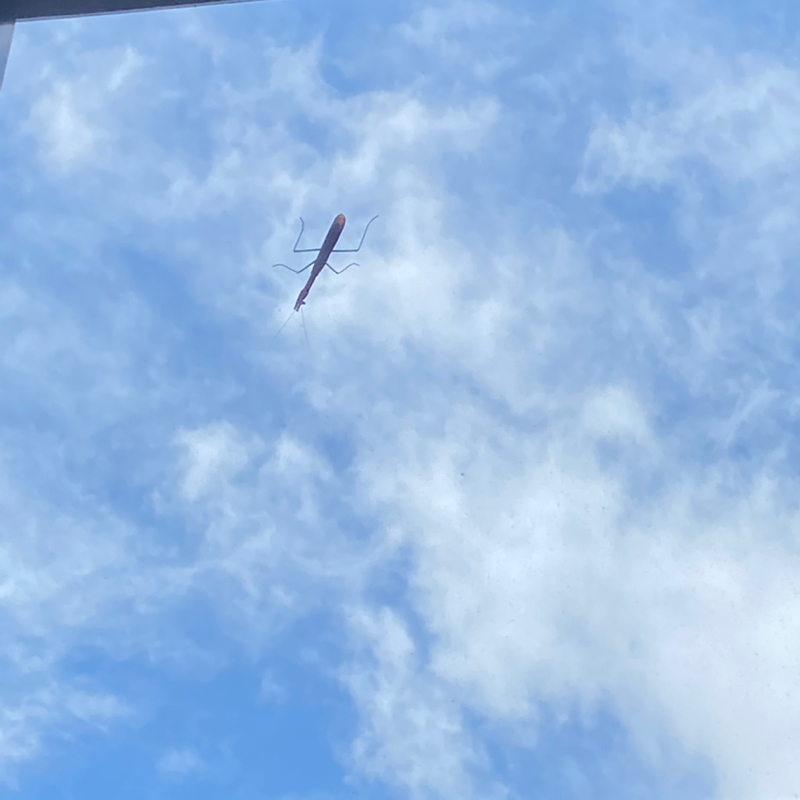 空見てる?