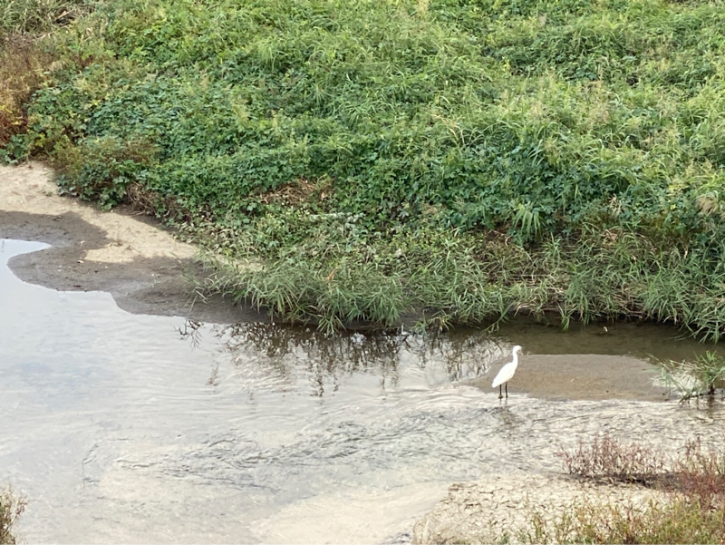 沢田研二　時の過ぎゆくままに