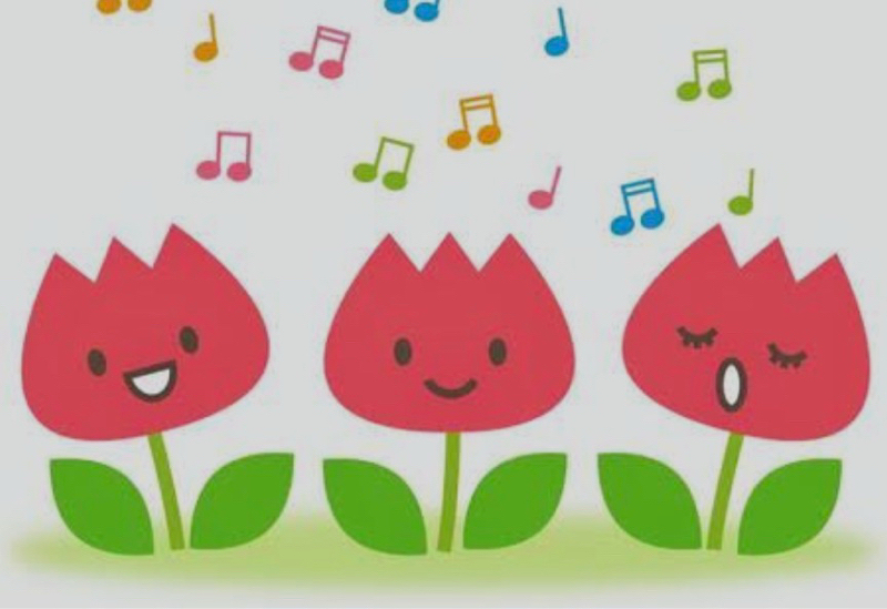 岩崎宏美　残したい花について