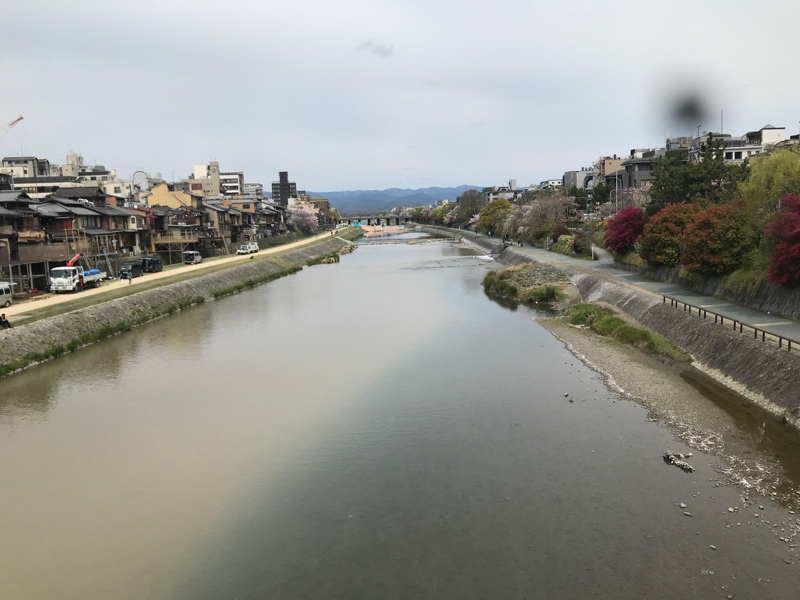 01::はじめまして。わいまーりまり。