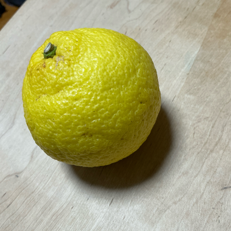 #344 人はきっと工夫する