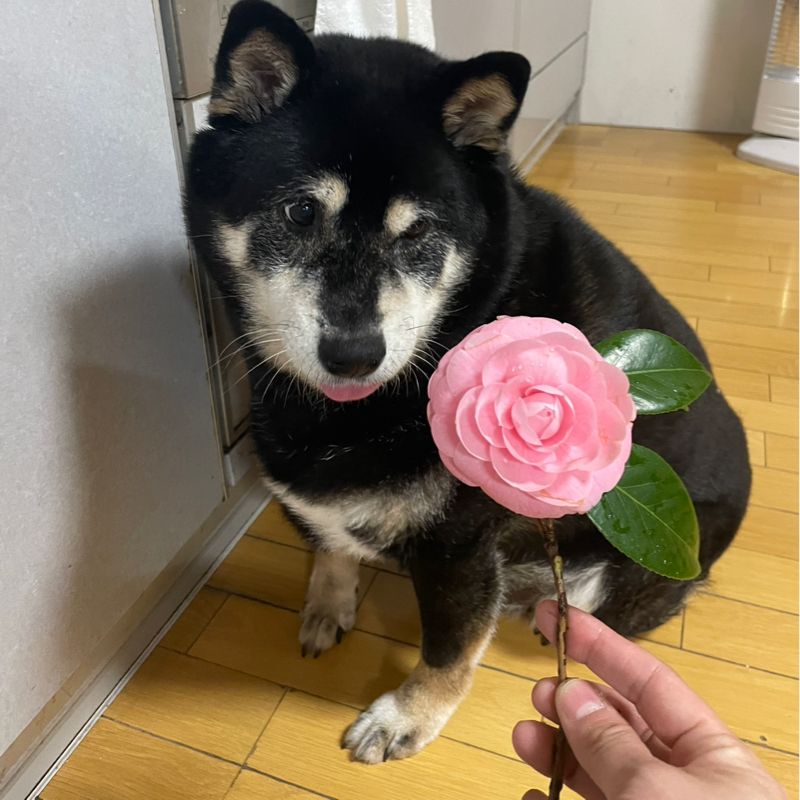 #345 同じ日々は続かないが日常こそ大事