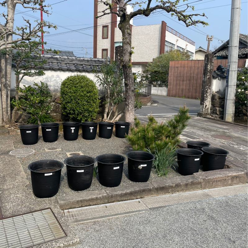 #346 お久しぶりです！