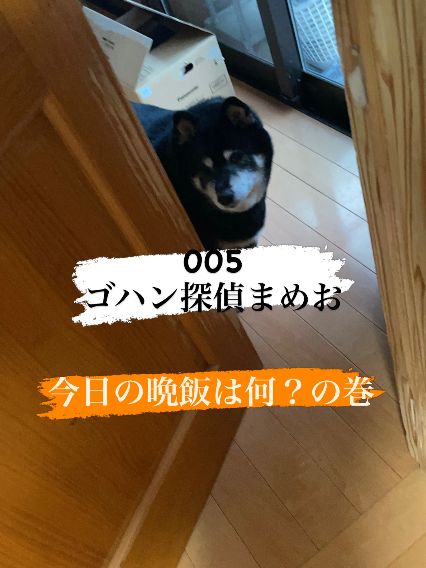 ＃348 まめおは005（00ご飯）と命名🕵️