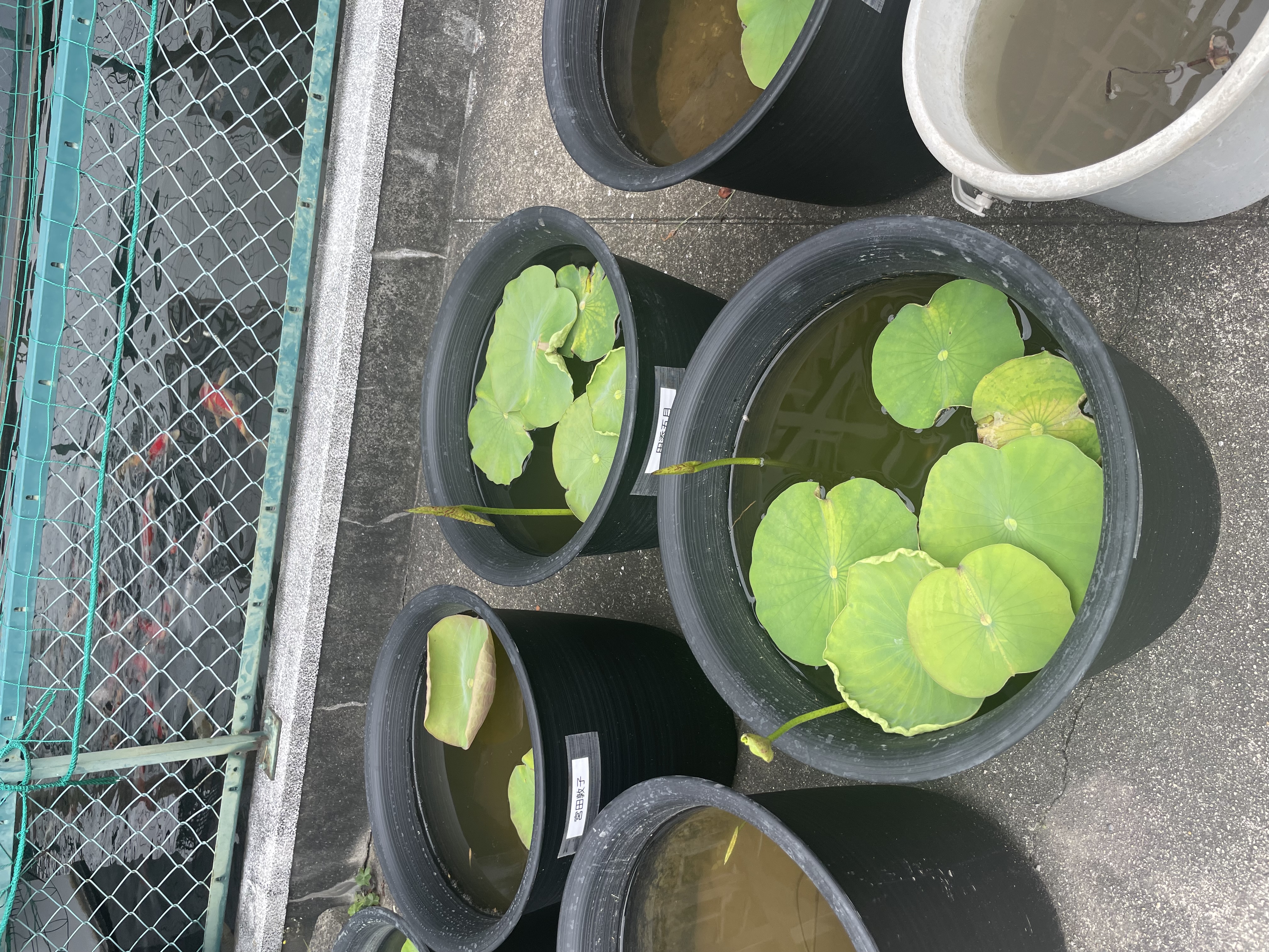 ＃351 宇宙膨張中の一瞬を生きる？！