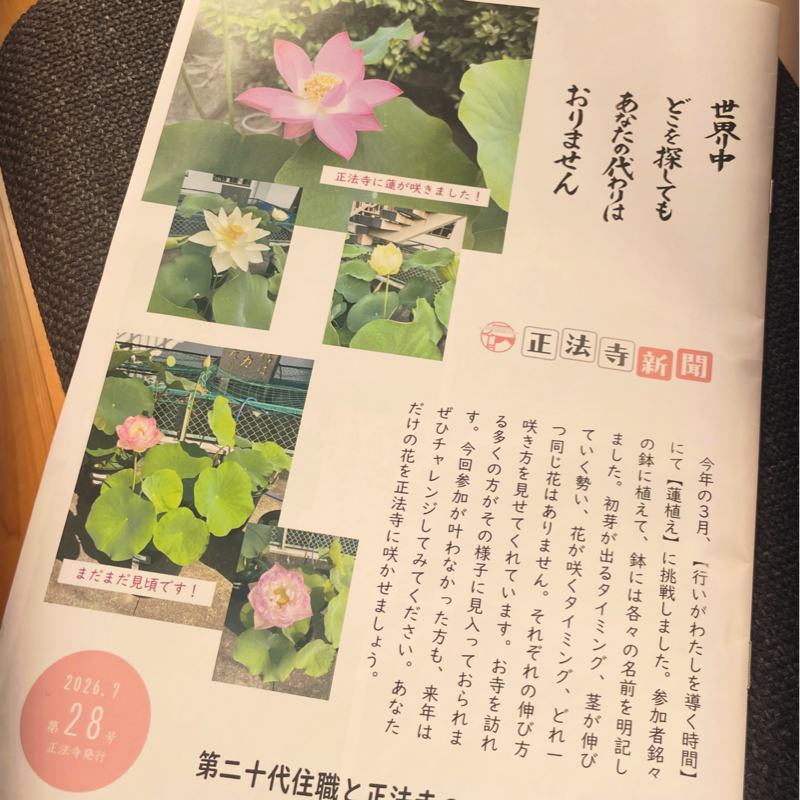 #363 正法寺新聞28号❣️