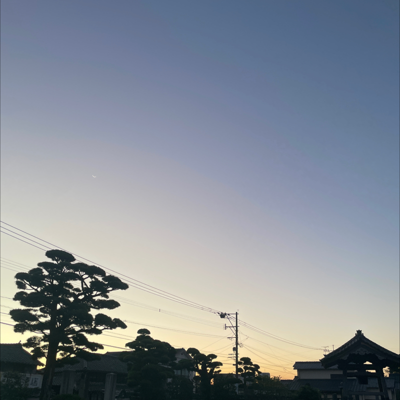【番外編】おはようございます