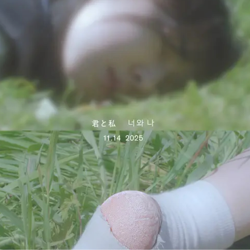 君と私を見て。そして私に連絡して。