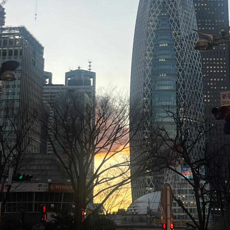 ヒ。〜否定的な意見を投稿することについて〜