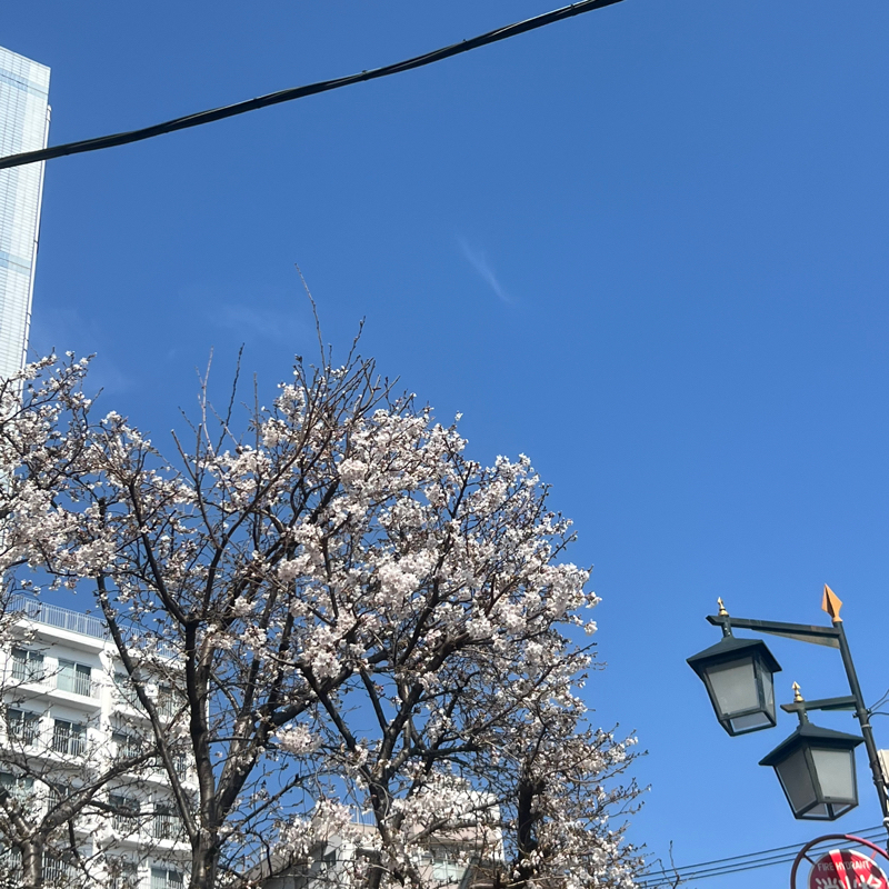 すごく良い日になる予感。（前編）