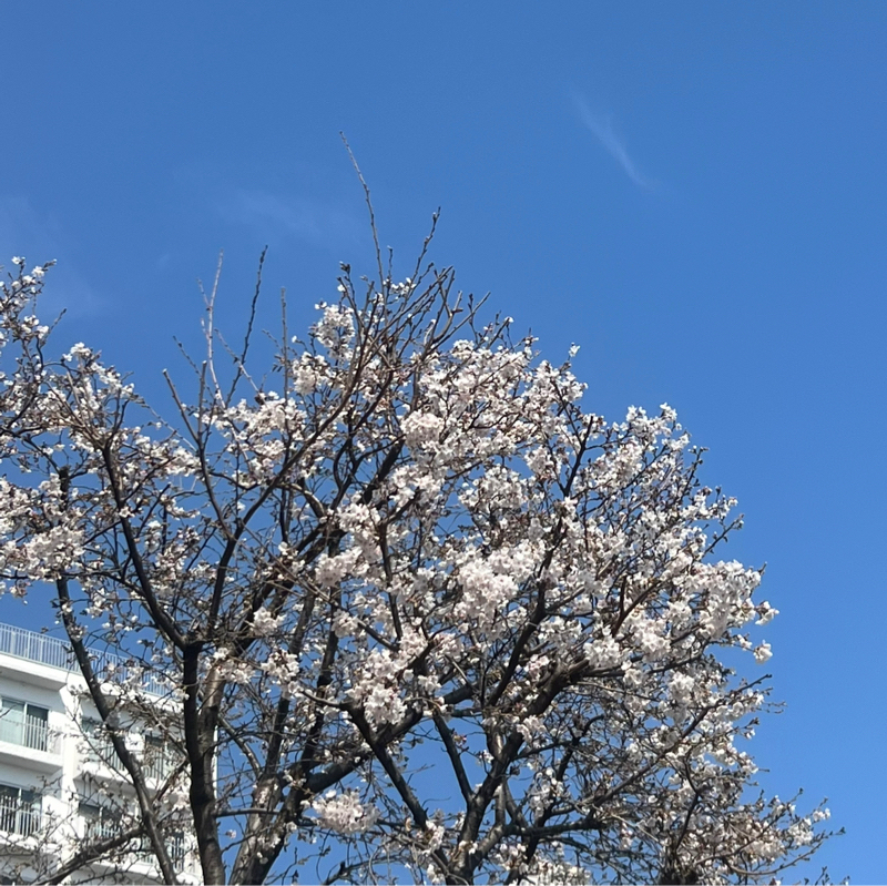 つまり、すごく良い日だった。（後編）