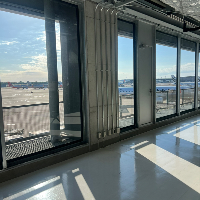 成田空港で蛙化