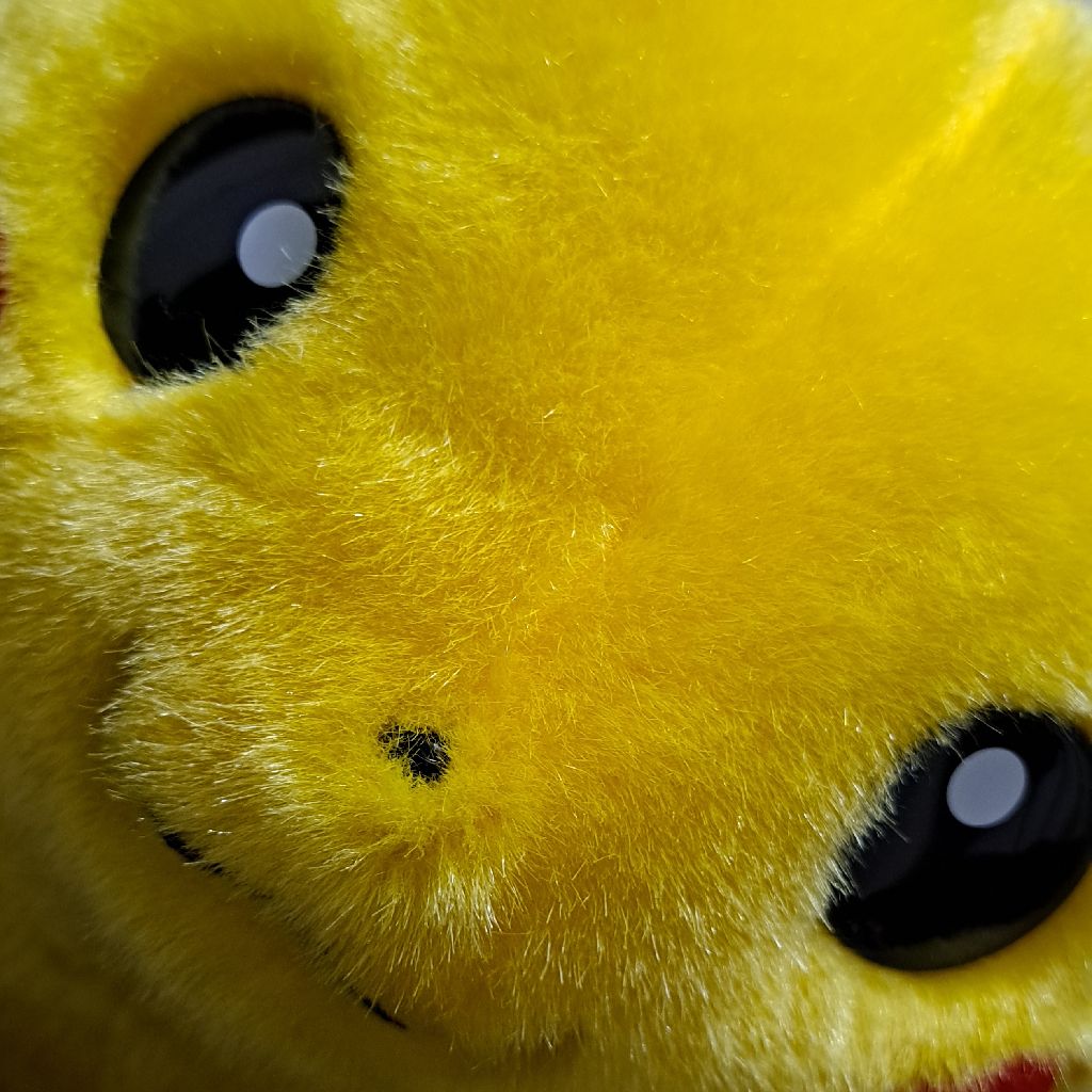 #52ただピカチュウ1/1を愛でる人