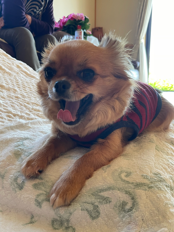 おいちらぢお#0609