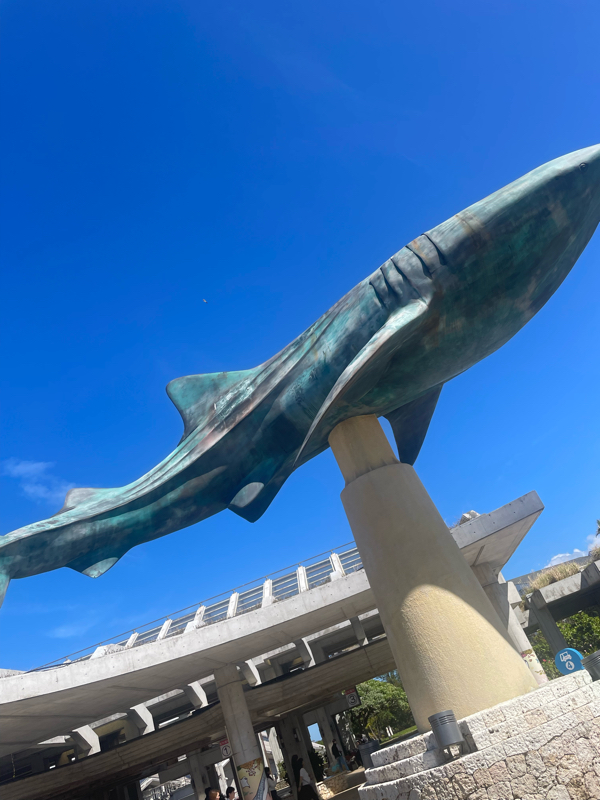 おいちらぢお#0611