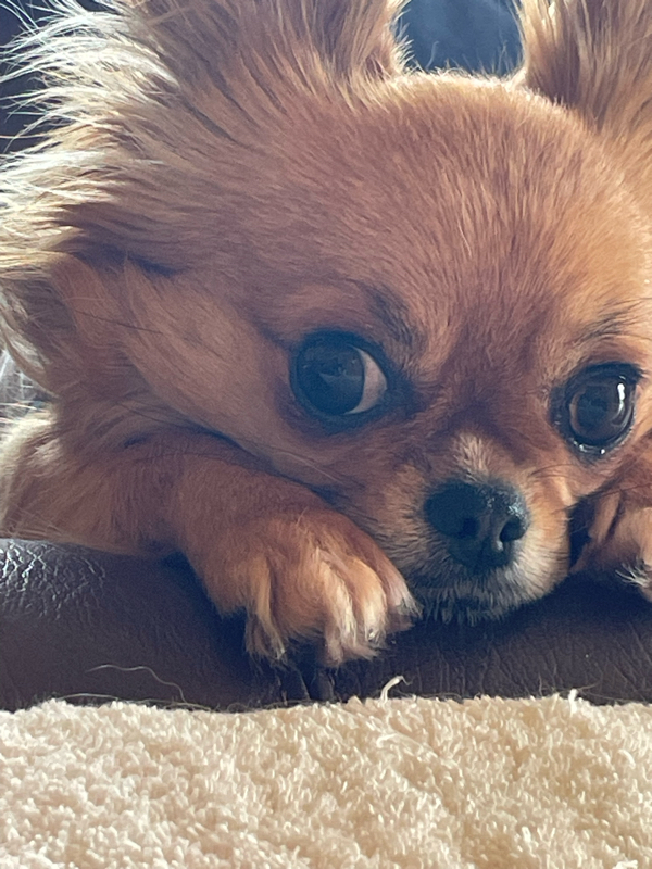 0611おいちらぢお、訂正