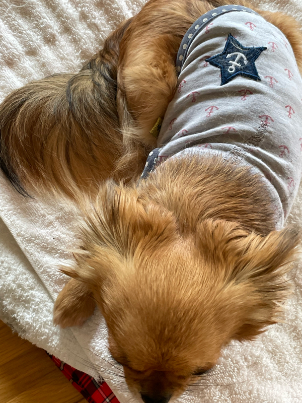 おいちらぢお#0612