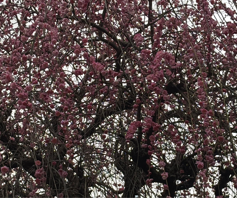 おいちらぢお#0521