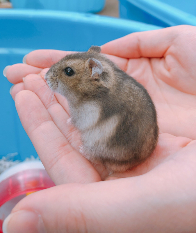 #2 虐められてた私が今楽しい人生を送れる理由