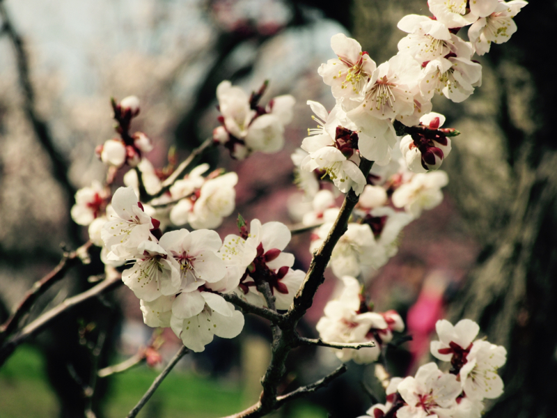 ネオンの子どもたち