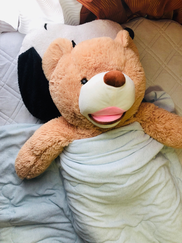 もやぎ・きのぴおす