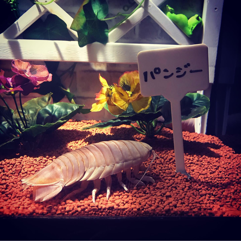 #9 おじさんにナンパされる話