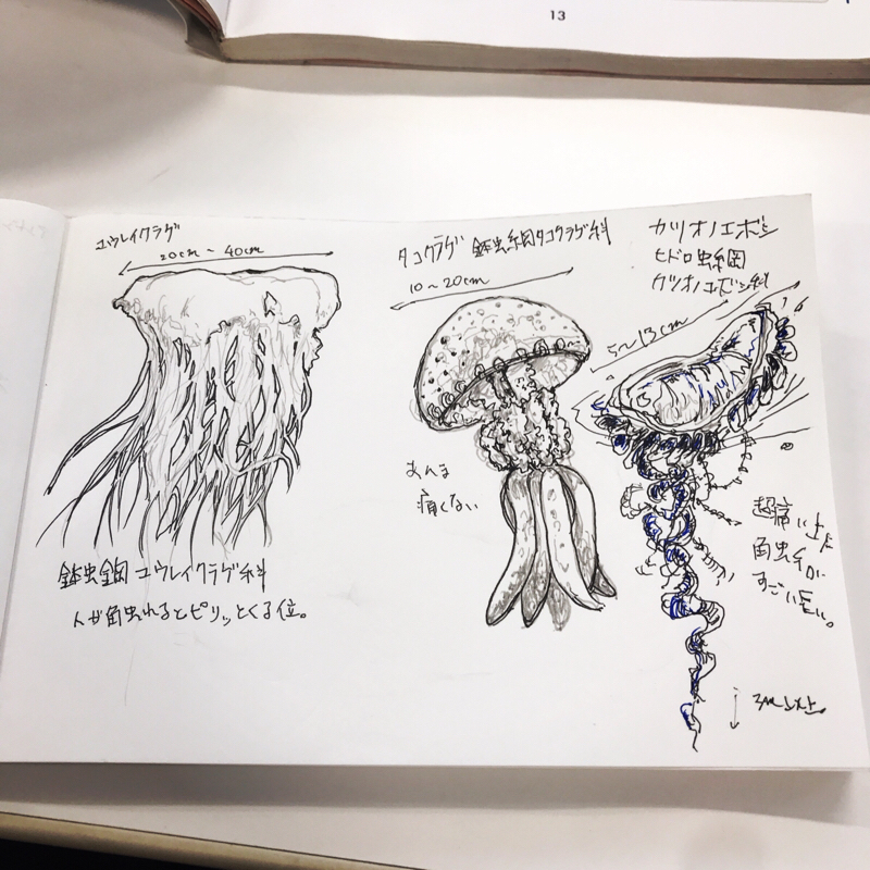 #33 SNSについて 〜YOU!!ブロックしちゃいなよ!!