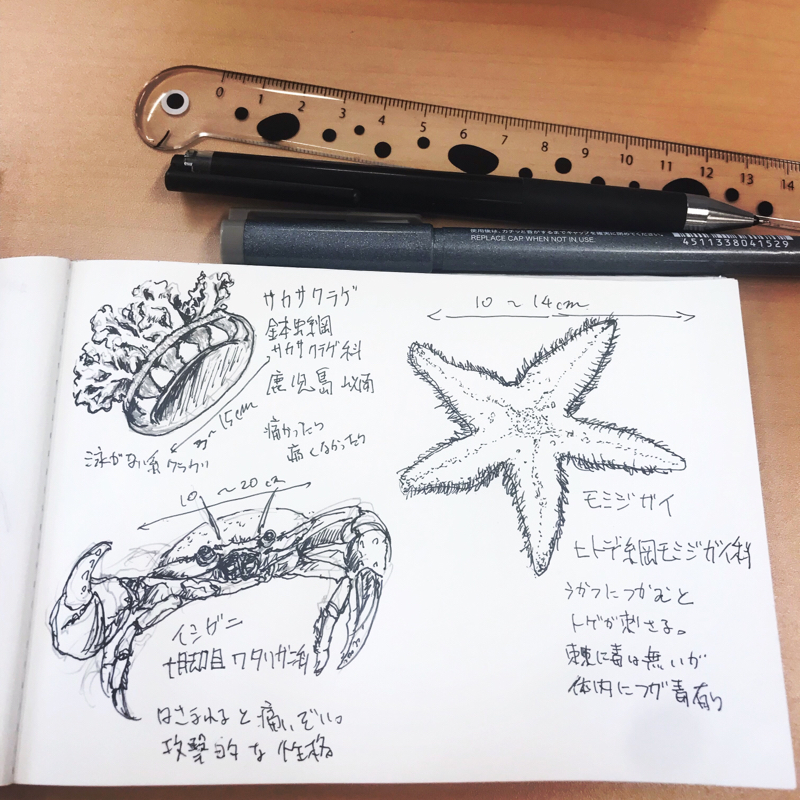 #35 MENSA歴2年になったのでMENSAを語る