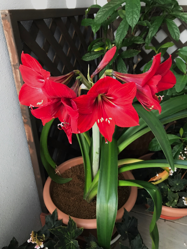 徒然なるままに