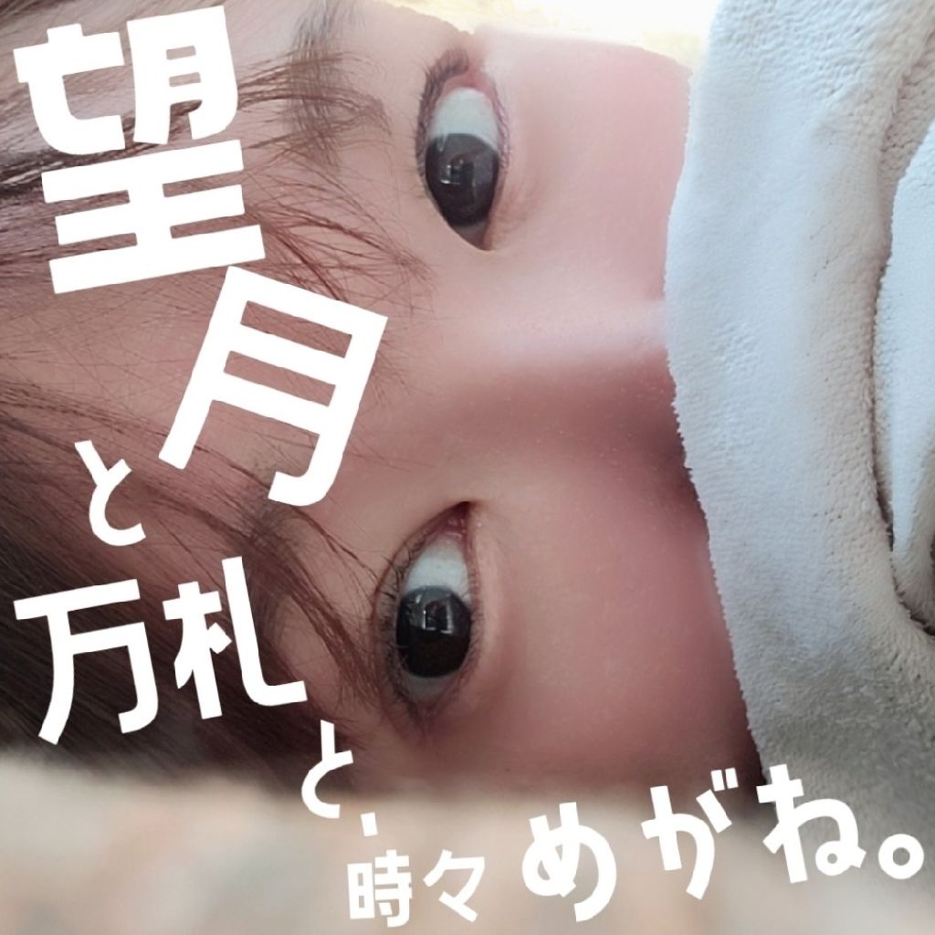 望月と万札と、時々めがね。