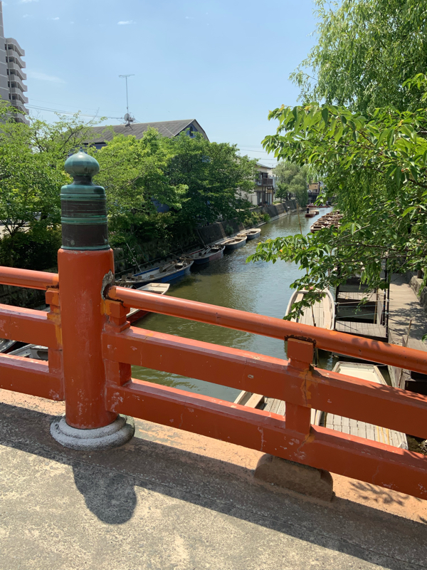 歌って早口でマイペースに話すだけ