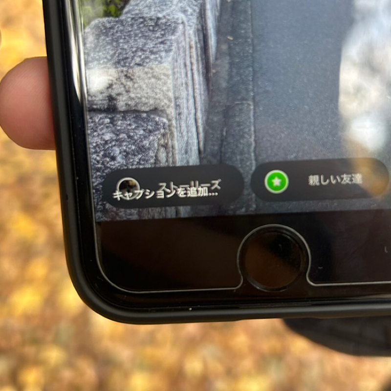 #208 森の中より