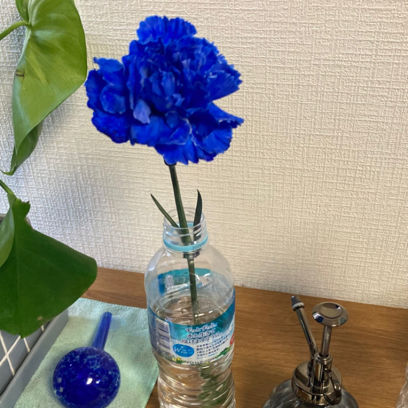 #220 ライブの話したかったのに