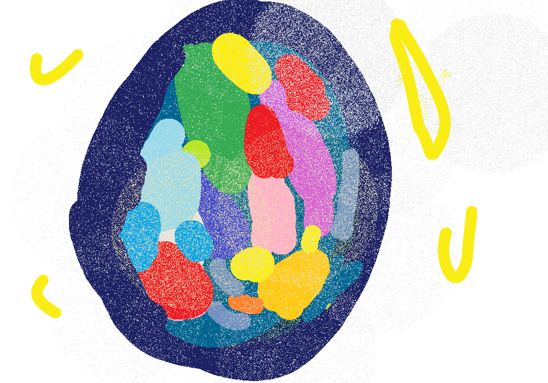 #55 オパール化希望