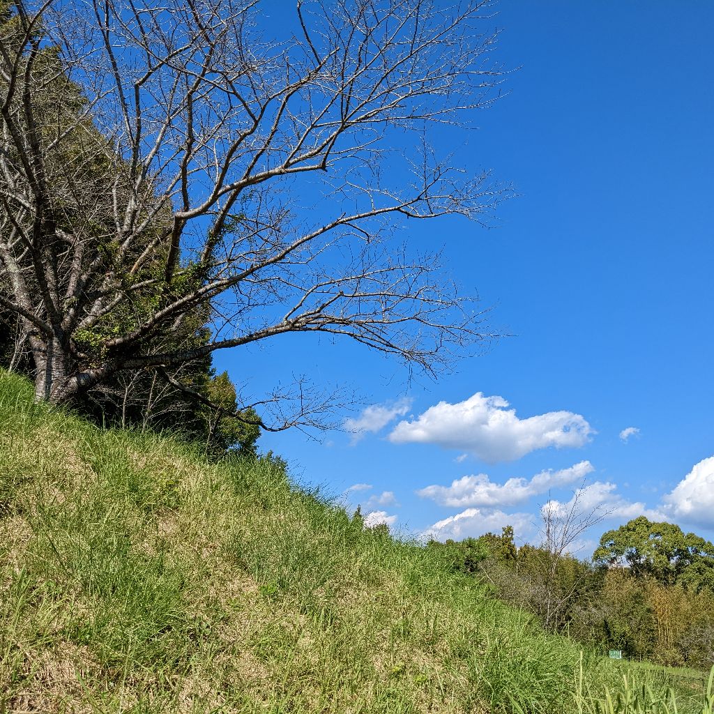 #190 映画をみた