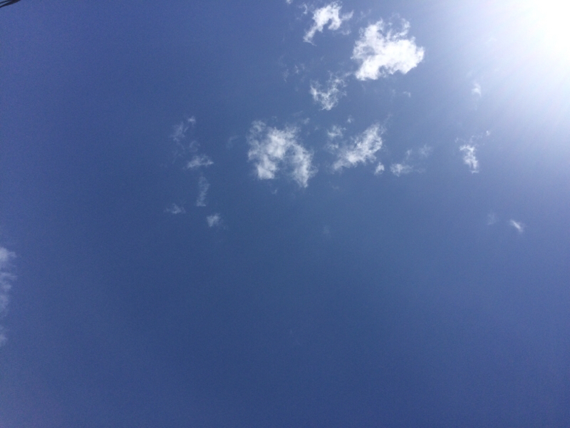 【エゴエゴな話〜考察編〜】#1 現時点のamaz考察